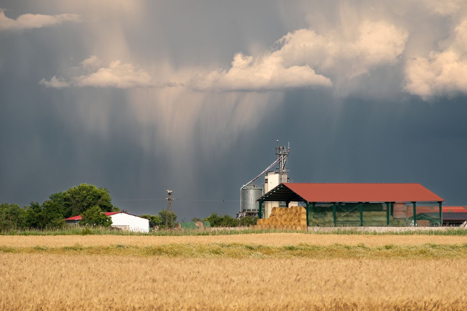 Dark rain clouds hanging low over green farmland with a line of trees along the horizon
